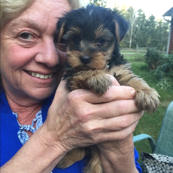 Meet your Posher, Theresa - Picture 1 of 1